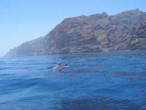El Paraiso En Los Gigantes 산티아고 델 테데 외부 사진