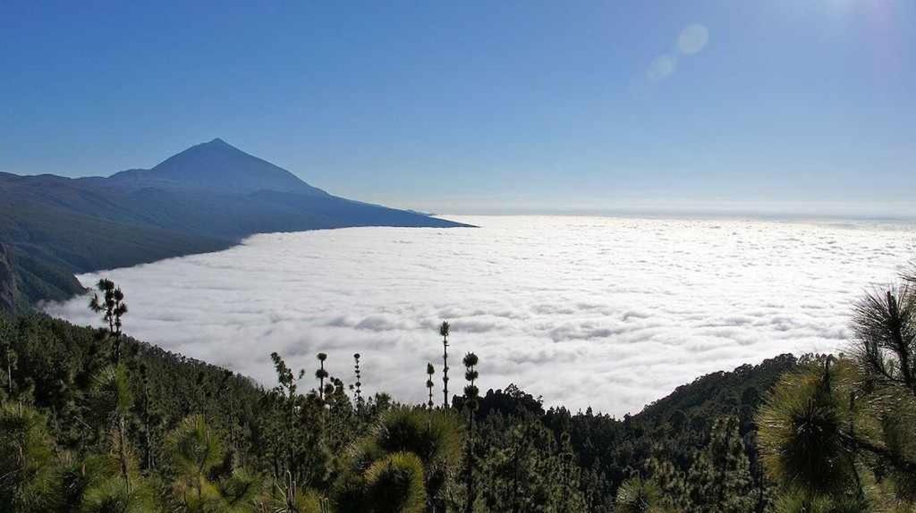 El Paraiso En Los Gigantes 산티아고 델 테데 외부 사진