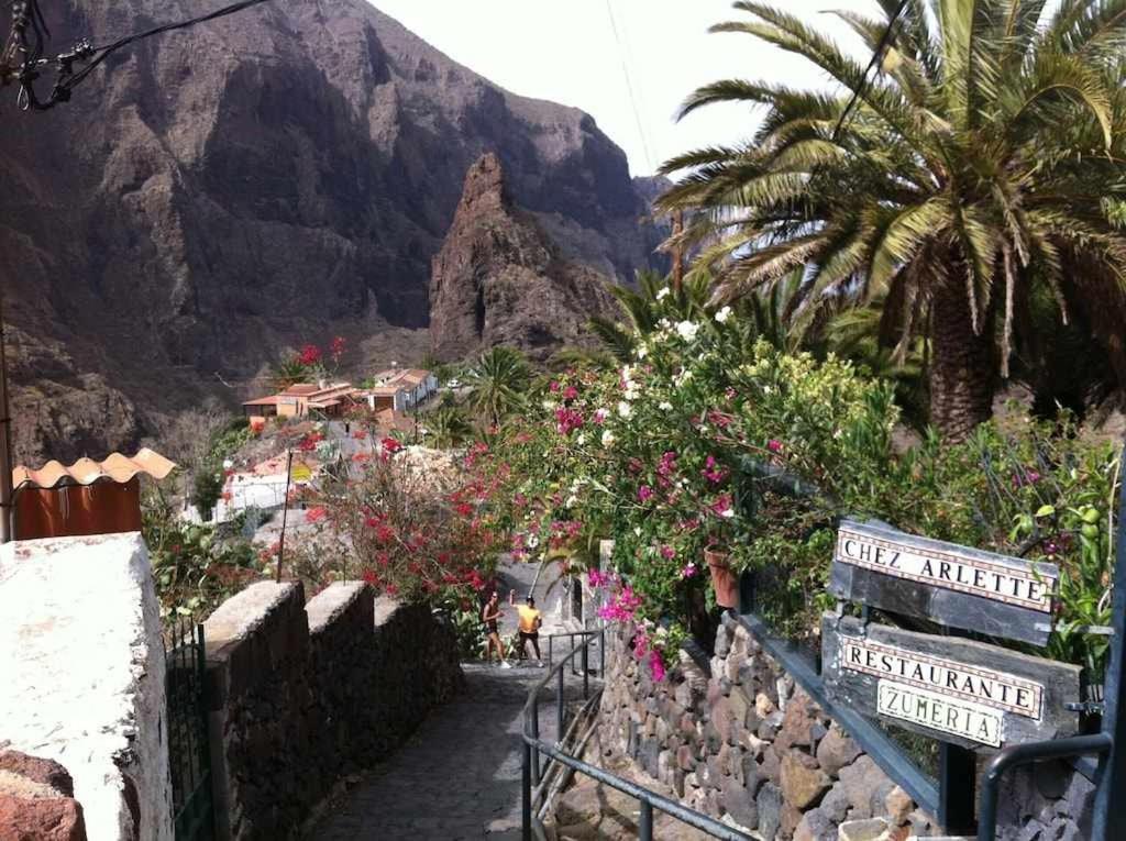 El Paraiso En Los Gigantes 산티아고 델 테데 외부 사진