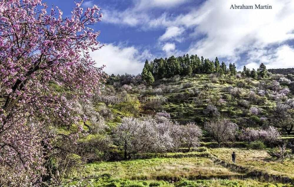 El Paraiso En Los Gigantes 산티아고 델 테데 외부 사진